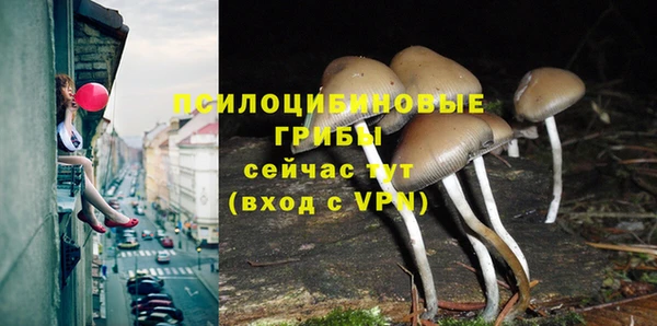 MESCALINE Сатка