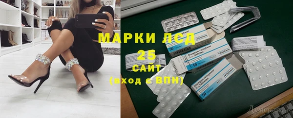 дживик Дегтярск