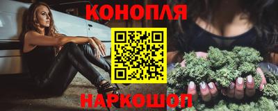 дмт Аргун