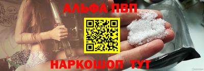 дмт Аргун
