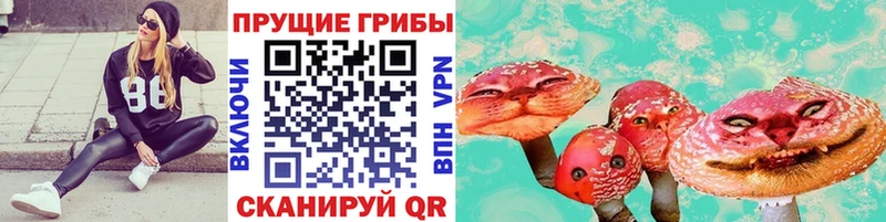 где купить   Великие Луки  Псилоцибиновые грибы Cubensis 