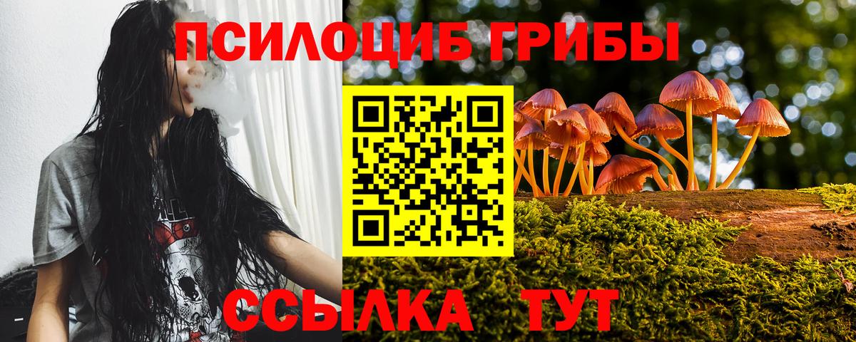 наркотики  Галлюциногенные грибы Psilocybine cubensis  Псилоцибиновые грибы MAGIC MUSHROOMS  Вход с VPN  Великие Луки 