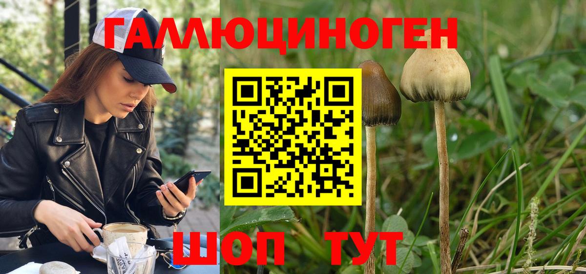 Псилоцибиновые грибы MAGIC MUSHROOMS Великие Луки
