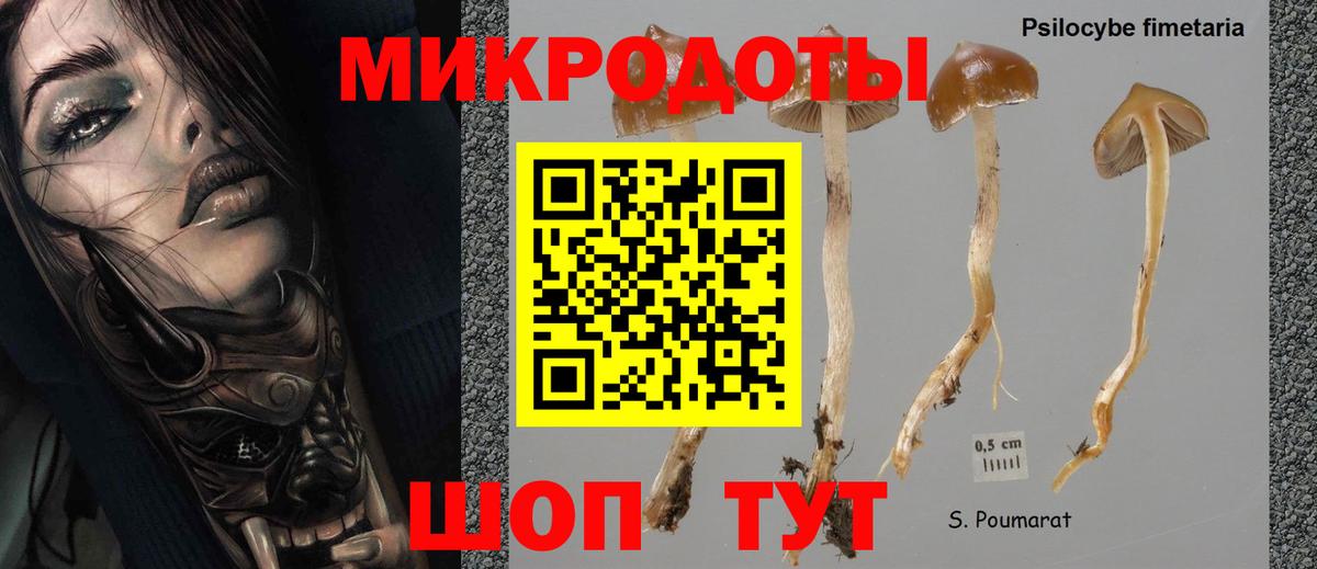 Галлюциногенные грибы ЛСД  Великие Луки 